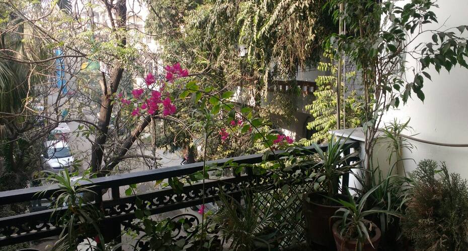 Yana's bed and breakfast, New Delhi 5